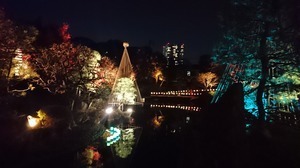 DSC_1414.JPG